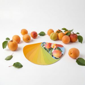 CARTA COLOR ALBARICOQUE