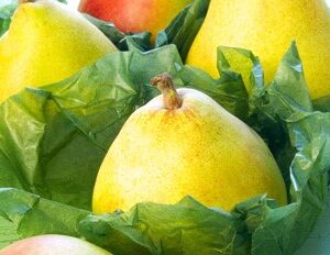 PAPEL ALIMENTARIO PARA ENVOLVER